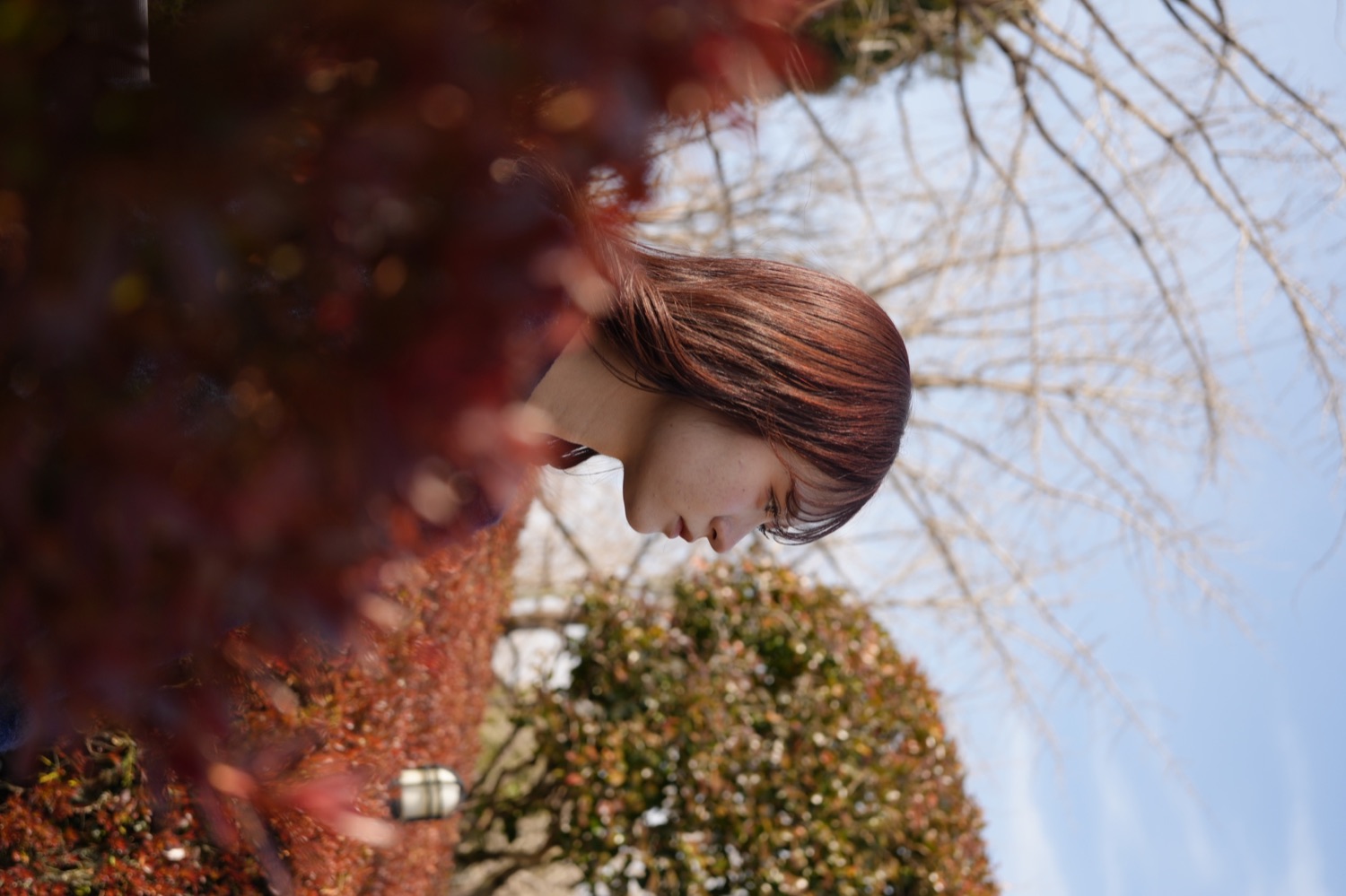 REOが撮影した作品 07